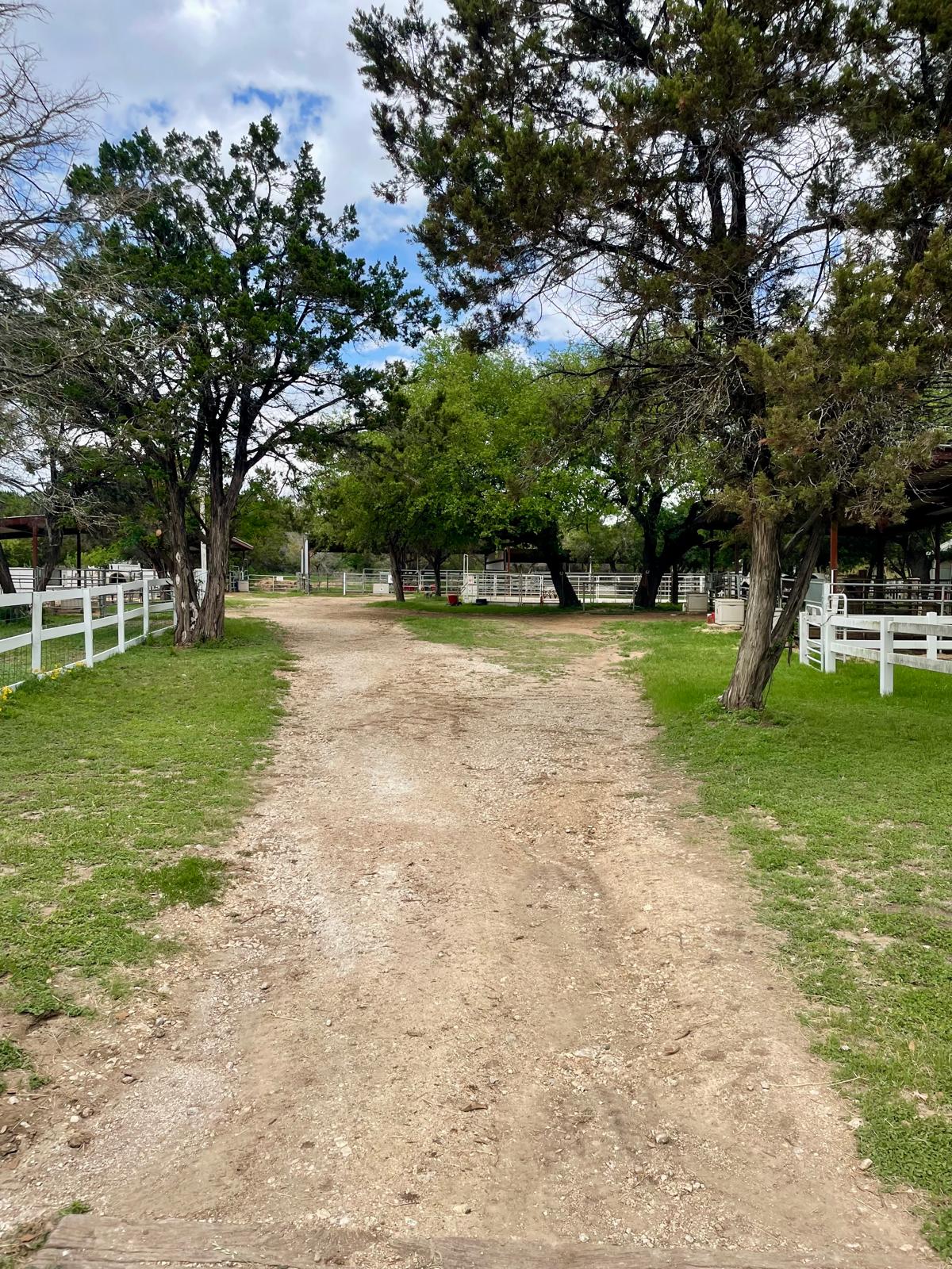 Tree-lined path
