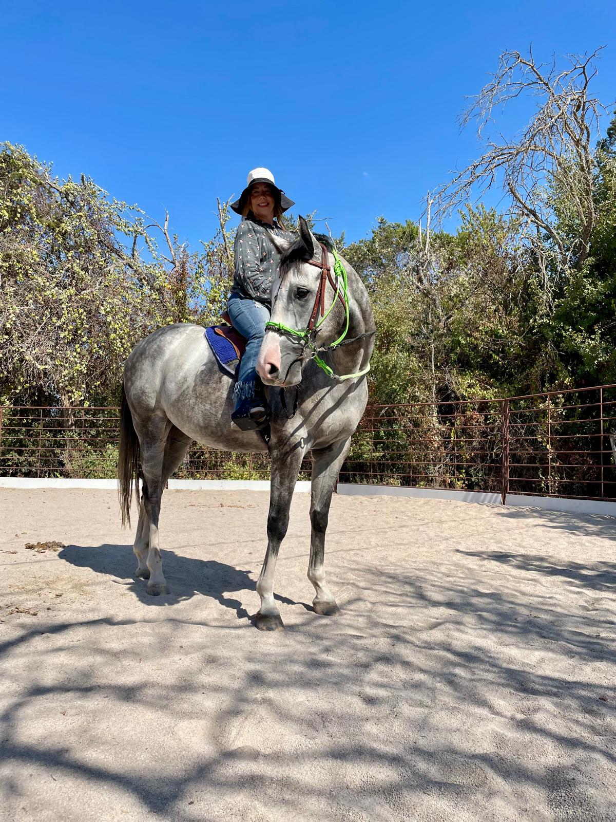 Rider on a grey horse